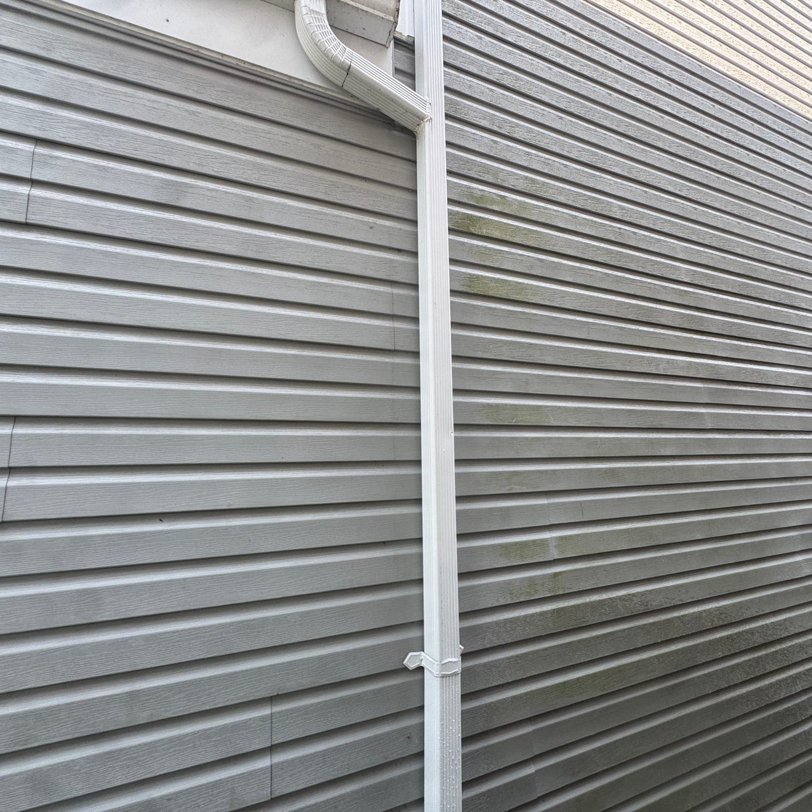 Before — Algae-stained siding, cleared
