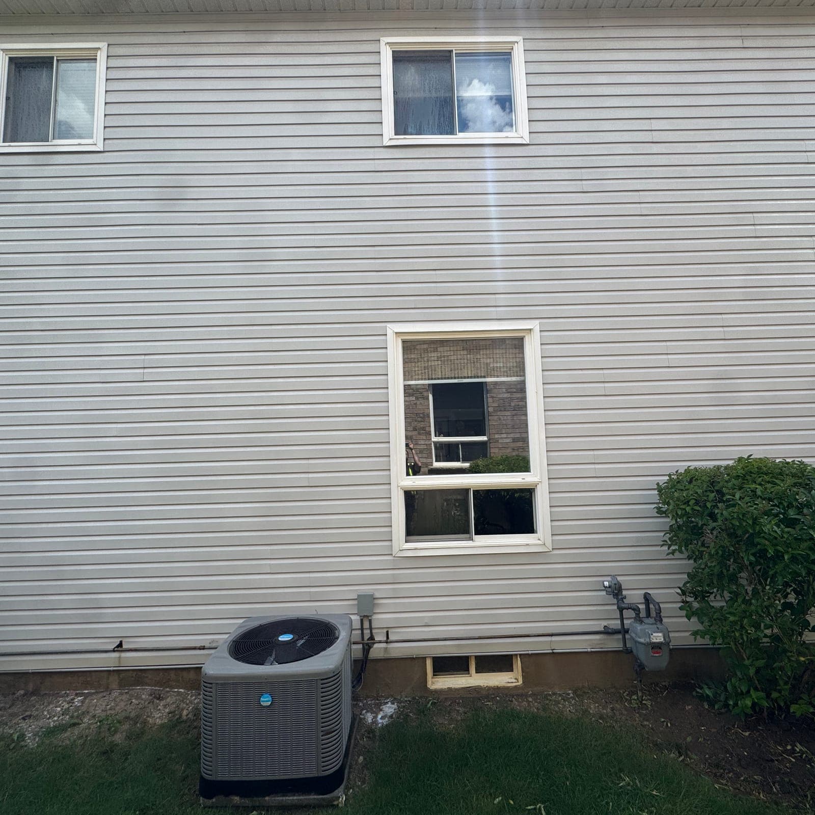 After — North-wall algae, gone same-day