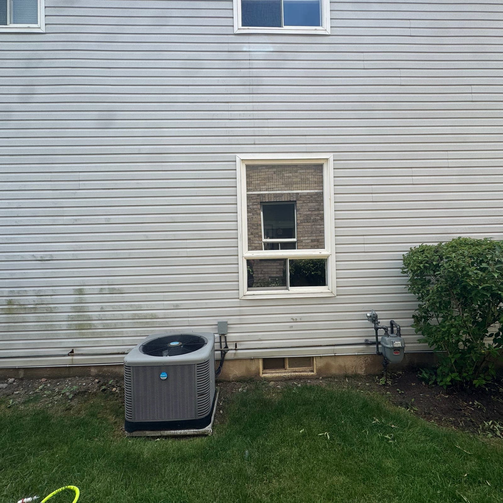 Before — North-wall algae, gone same-day