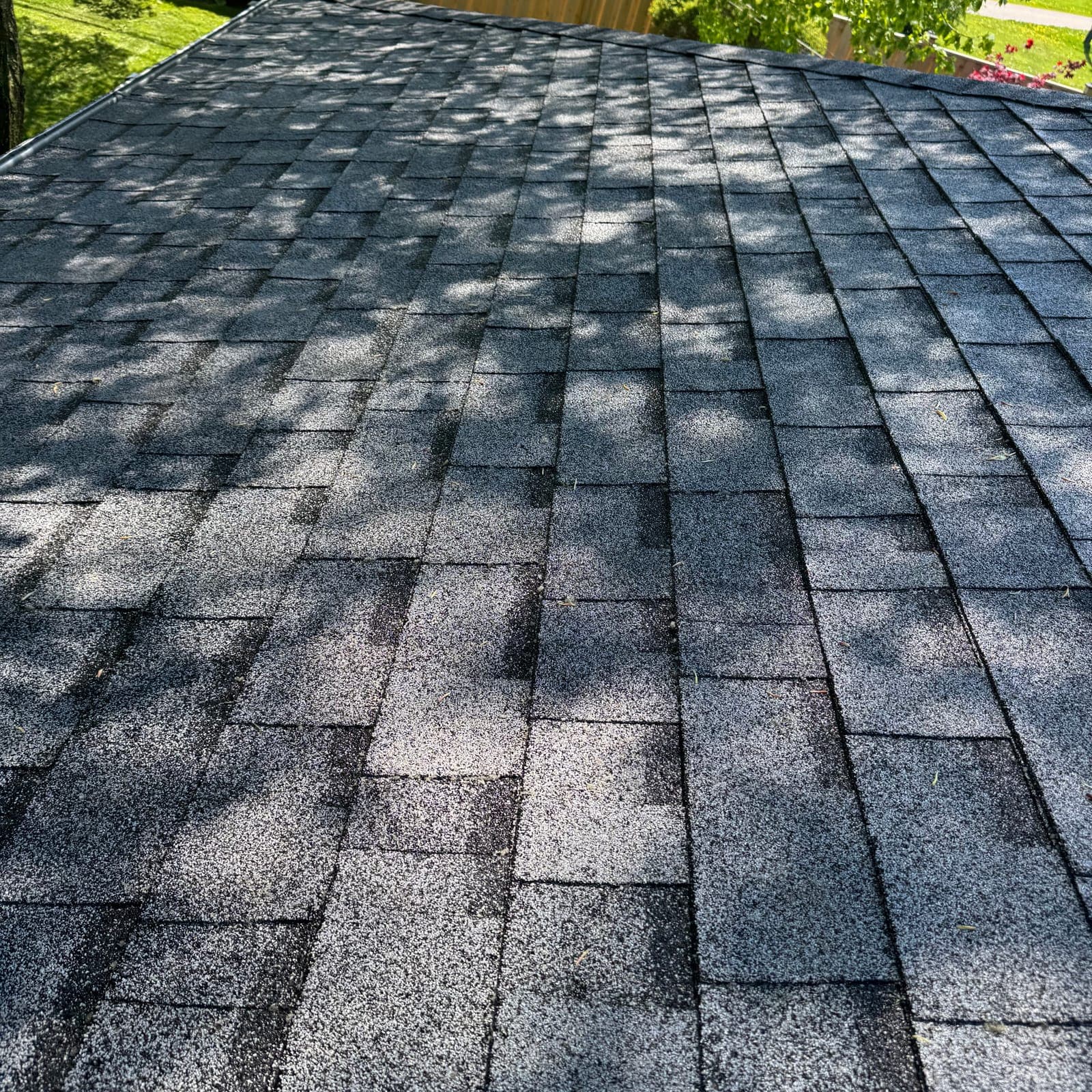After — Moss & algae stripped off asphalt shingles
