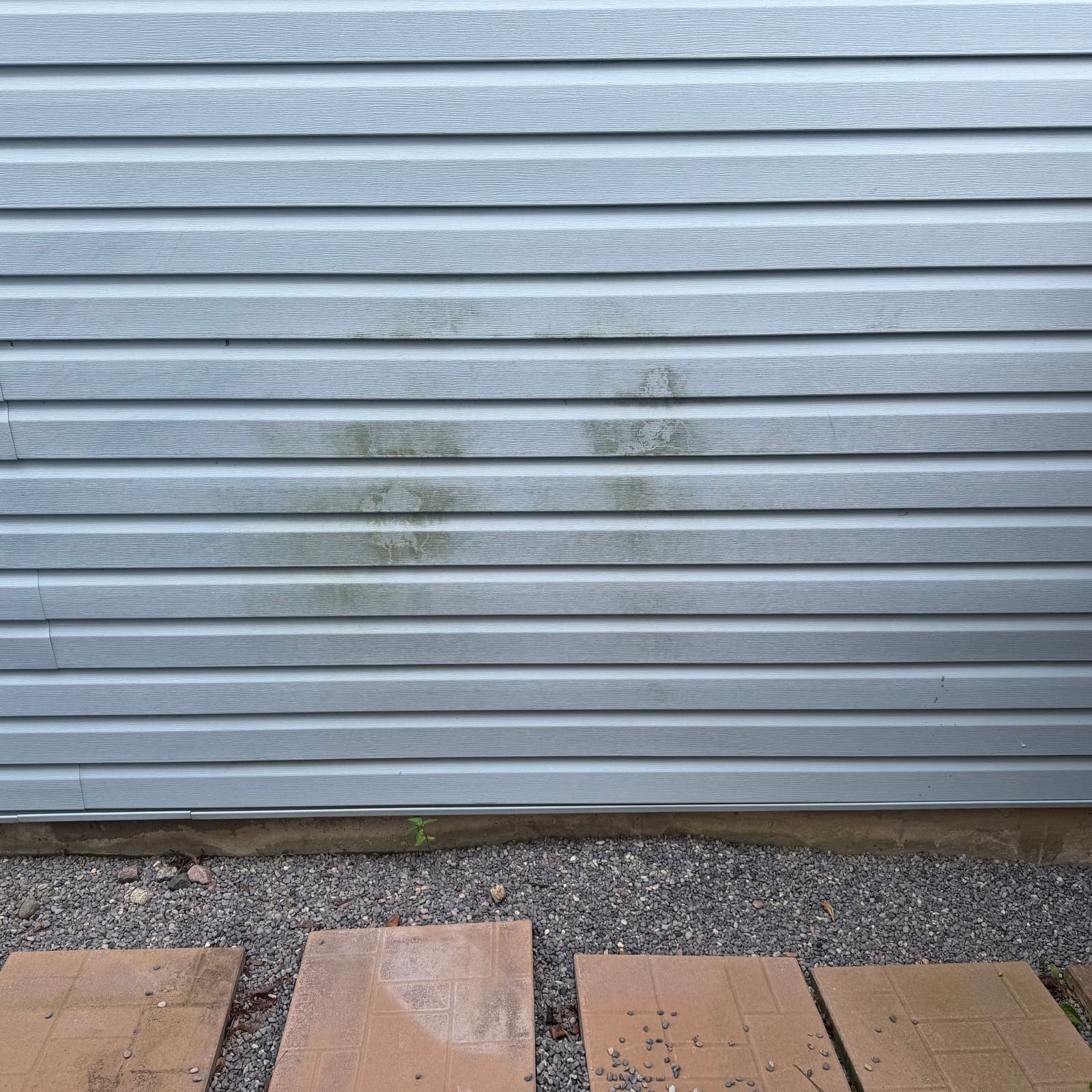 Before — Algae streaks washed off the side wall